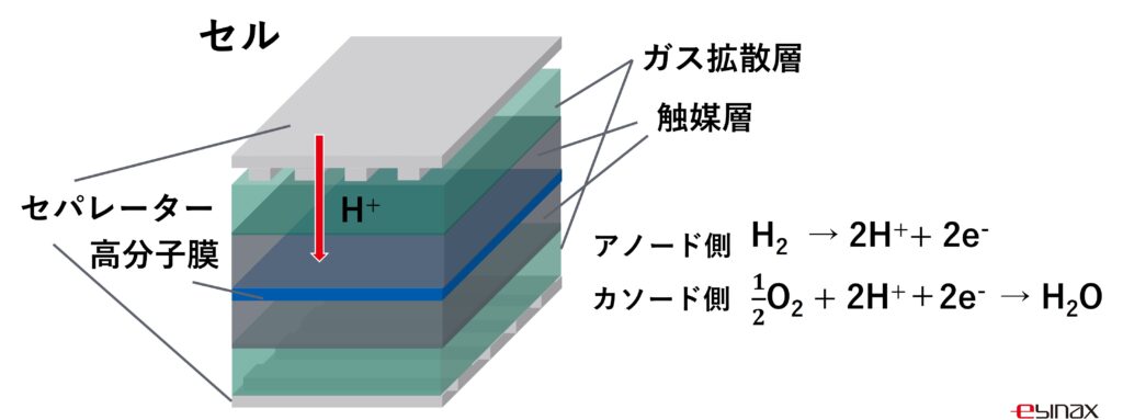 燃料電池 電極 材料 構造